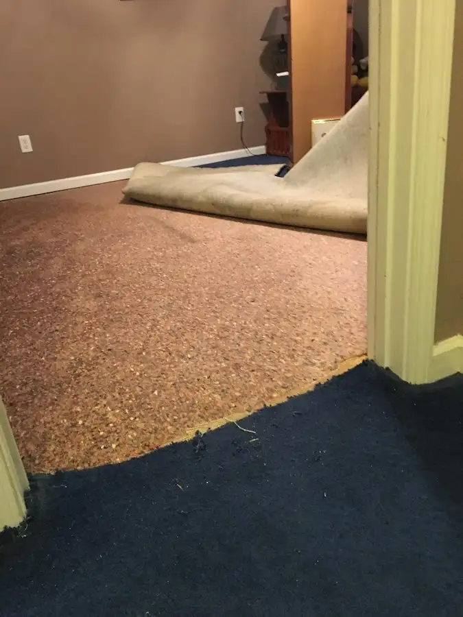Carpet pad removal revealing water damage during Water Mitigation Services in Erie
