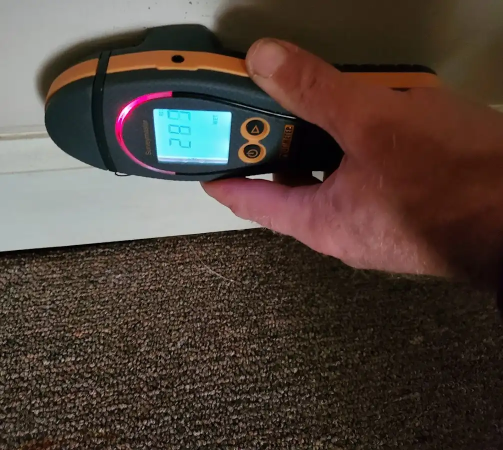 Moisture detection at baseboard during Sewage Cleanup & Sanitation in Erie