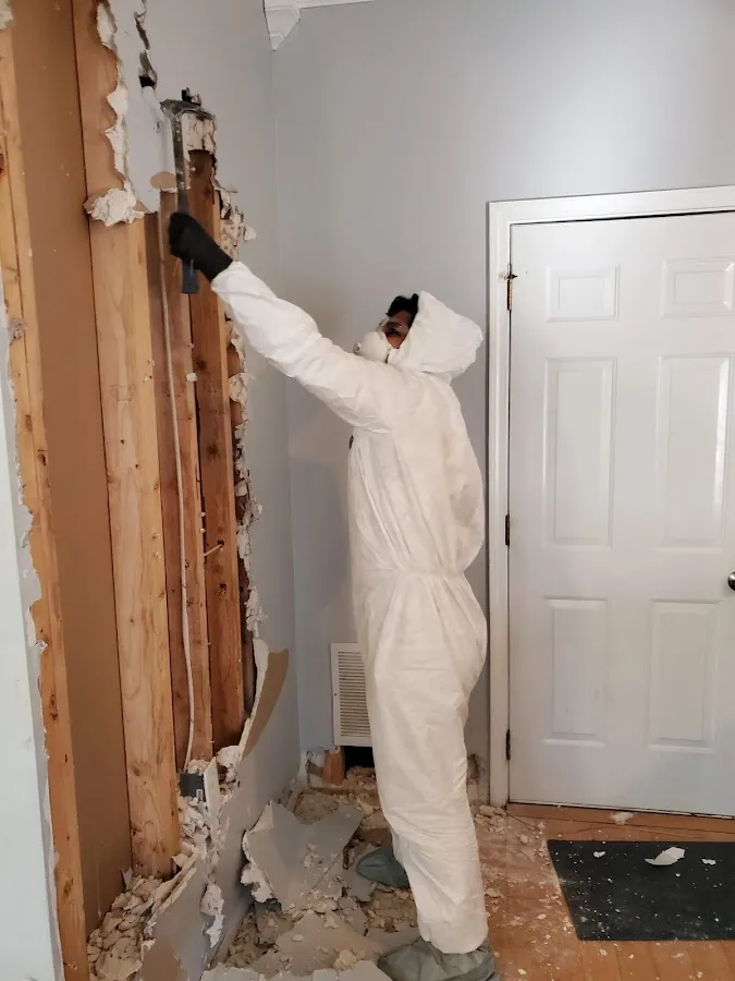 Water Damage Assessment in Erie, PA